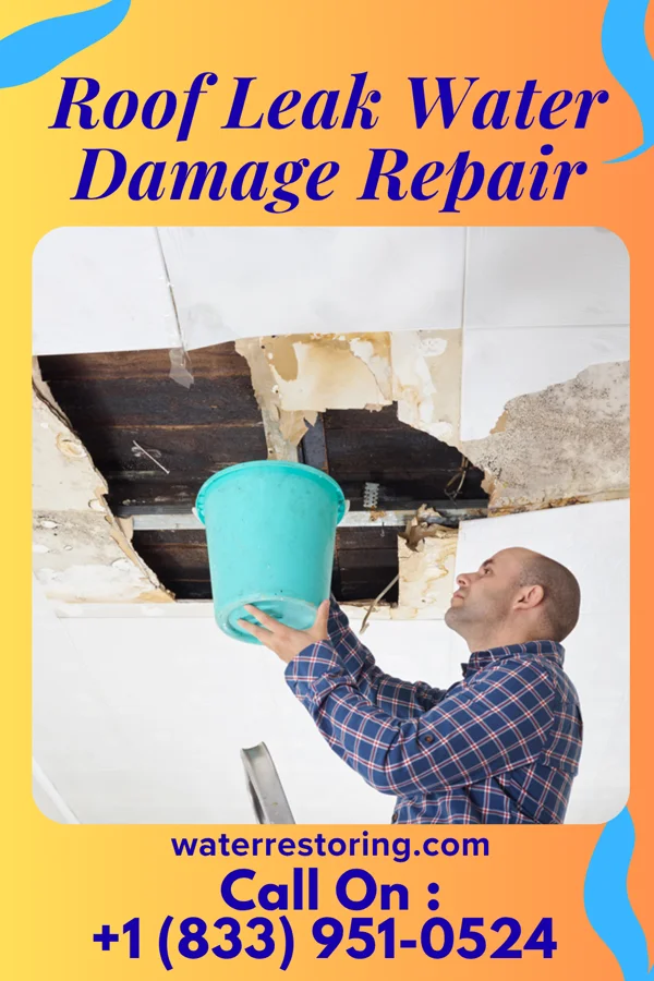 Roof Leak Water Damage Repair in Heflin, AL